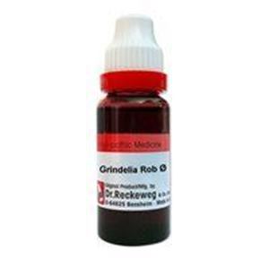 Grindelia Robusta Q 20ml