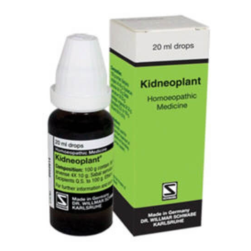 Bioplasgen 24 Tonic For Nerves & Brain